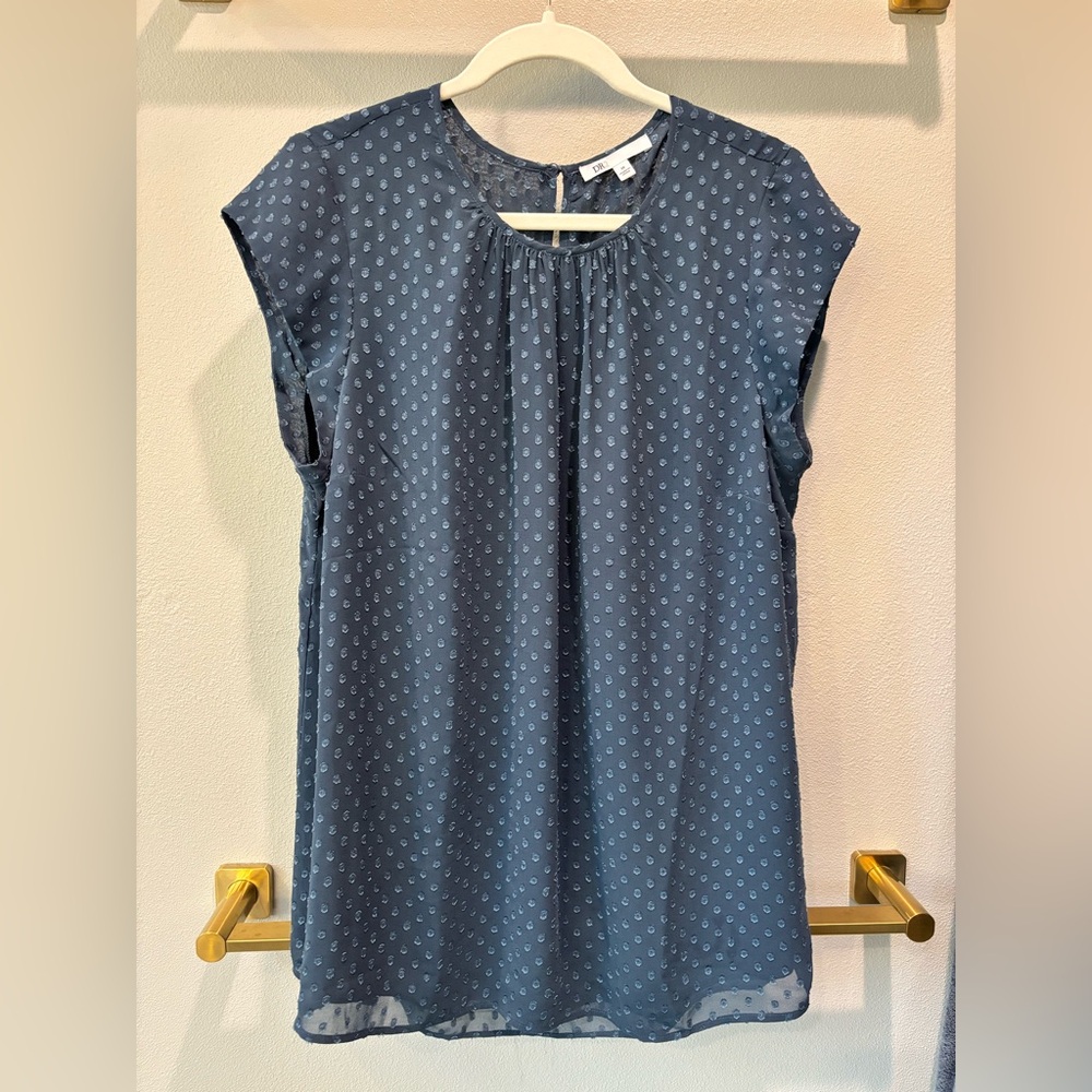DR2 Blue Textured Swiss Dot Short Sleeve Lined Top Size 1X
